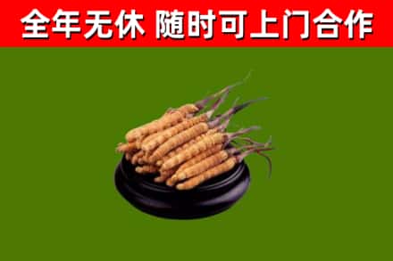 台江烟酒回收冬虫夏草.jpg